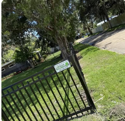 Black aluminum ornamental fence and drive gate across a residential lot